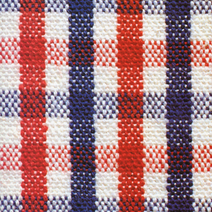 外企富婆和健硕黑人3p
