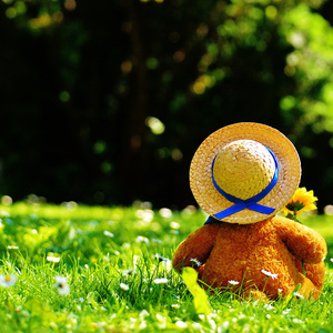 外企富婆和健硕黑人3p
