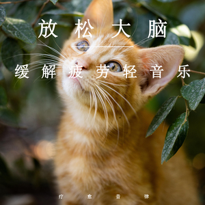 外企富婆和健硕黑人3p
